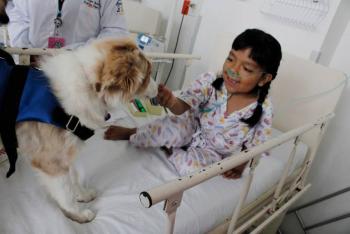 Brinda Hospital Pedi&aacute;trico Coyoac&aacute;n 36 mil terapias asistidas con perros