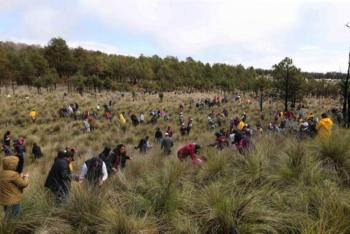 Arranca GEM la primera reforestaci&oacute;n estatal: “&Aacute;rboles para el Ma&ntilde;ana”
