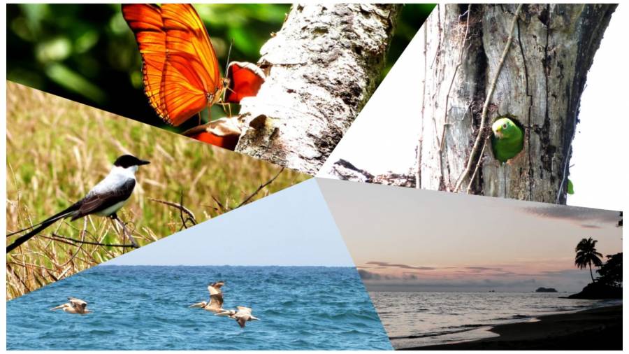 San Francisco de Asís: un paraíso natural entre Colombia y Panamá