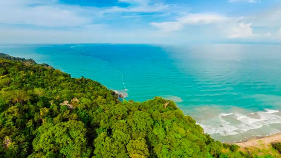 Histórico reconocimiento a Colombia: Unesco declara el Darién Norte Chocoano como Reserva de Biósfera