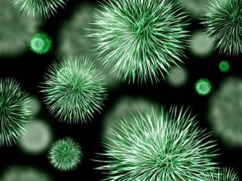 Bacteria carn&iacute;vora en Jap&oacute;n: ¿qu&eacute; se sabe hasta ahora?