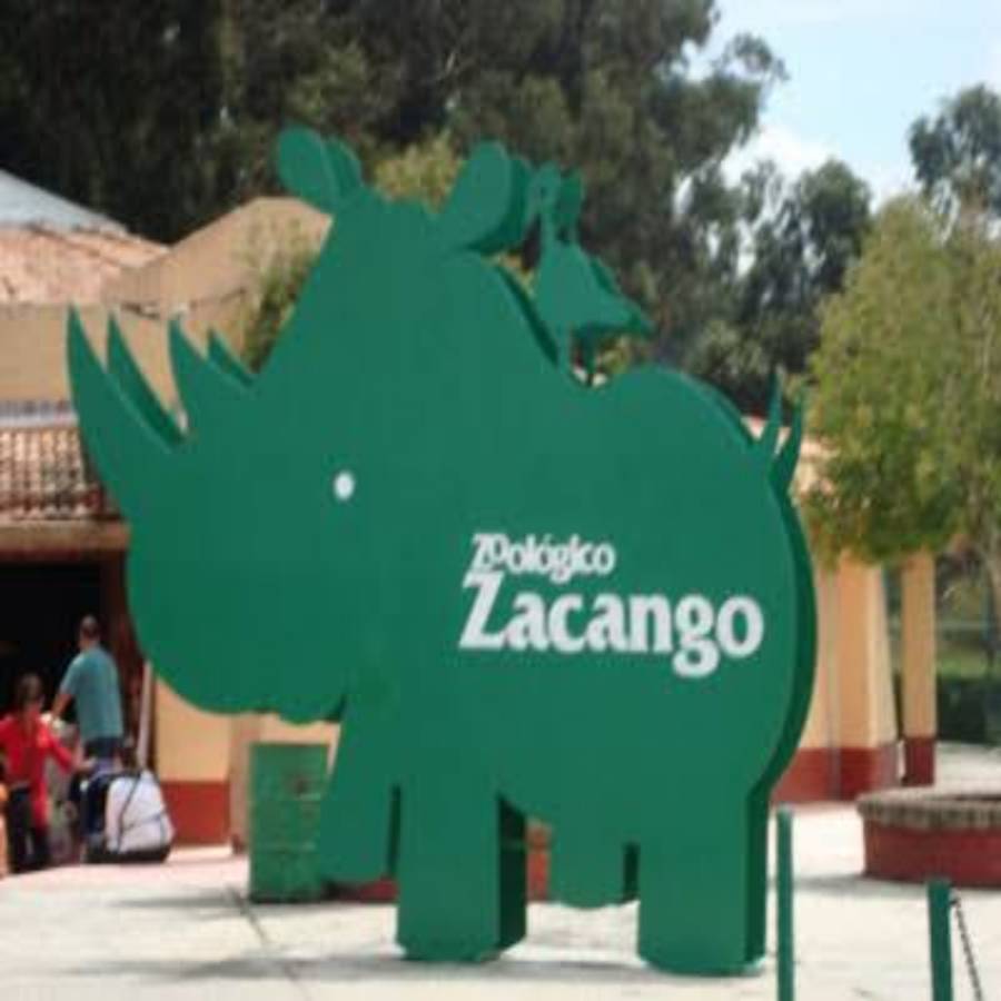 En el ‘zoológico del amor’ entra en labor de parto hipopótama ¿En dónde queda ese lugar?