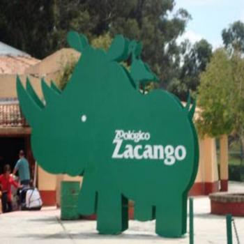 En el ‘zool&oacute;gico del amor’ entra en labor de parto hipop&oacute;tama ¿En d&oacute;nde queda ese lugar?
