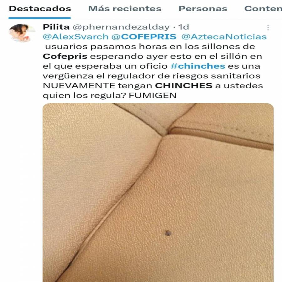 Reportan otra vez chinches en oficinas de COFEPRIS