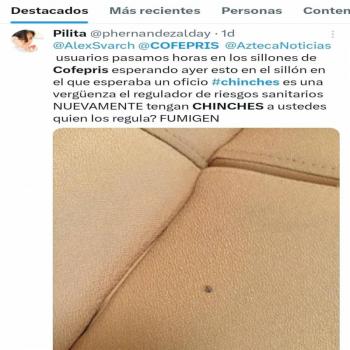 Reportan otra vez chinches en oficinas de COFEPRIS