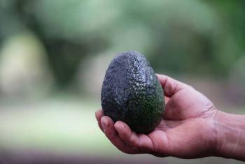 ANPEC denuncia aumento del 40% en el precio del aguacate por violencia y suspensi&oacute;n de exportaciones