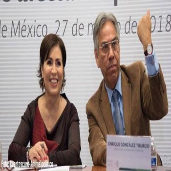 Ex subsecretario de Sedatu absuelto de acusaci&oacute;n en caso Estafa Maestra
