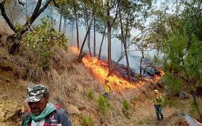 Incendios forestales afectan 35 mil hectáreas en el Estado de México