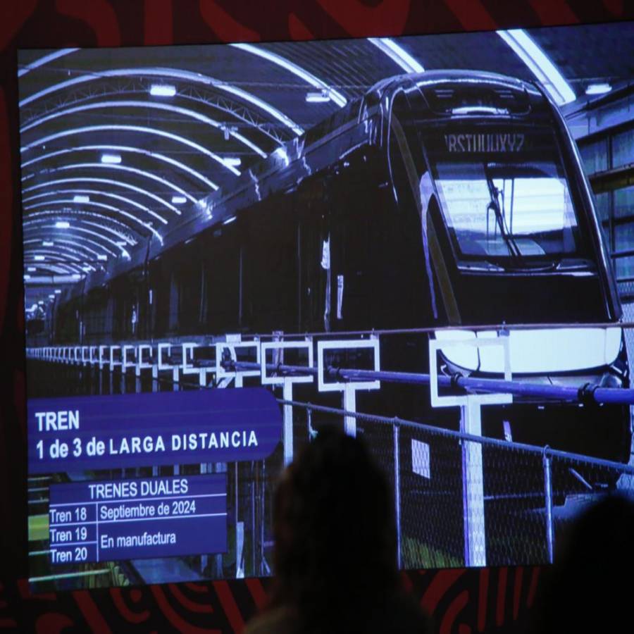 Tren Maya transporta a m&aacute;s de 246,000 pasajeros en sus primeros 205 d&iacute;as de operaciones