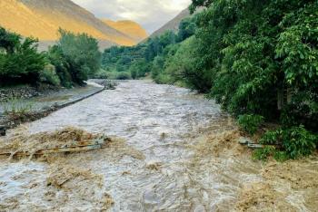 Fuertes lluvias matan al menos a 35 personas en el este de Afganistán, según funcionario