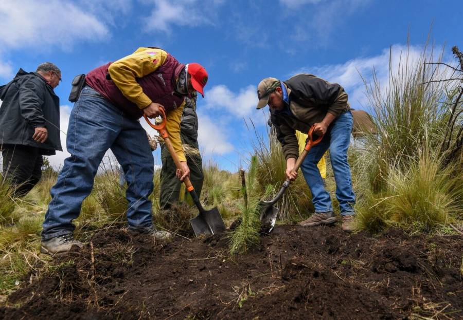 Edomex pionero en lanzamiento de “Bombas de Vida” para reforestar zonas de difícil acceso