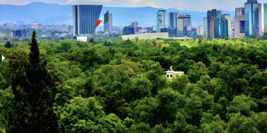 Sedema revela proyecto del Programa de Manejo del Bosque de Chapultepec