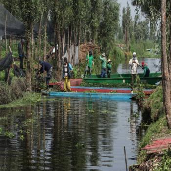 Auto cae al canal de Xochimilco