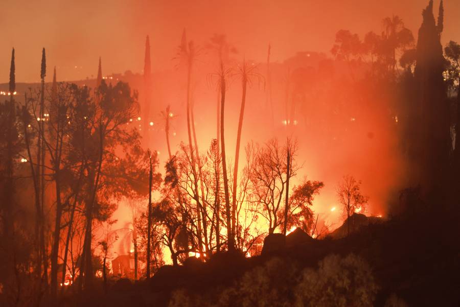 El oeste de EE.UU. se enfrenta a incendios forestales mientras millones de personas están bajo advertencias por el calor