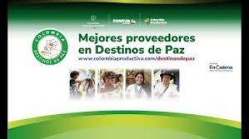 Gobierno colombiano lanza programa para fortalecer proveedores en zonas de paz
