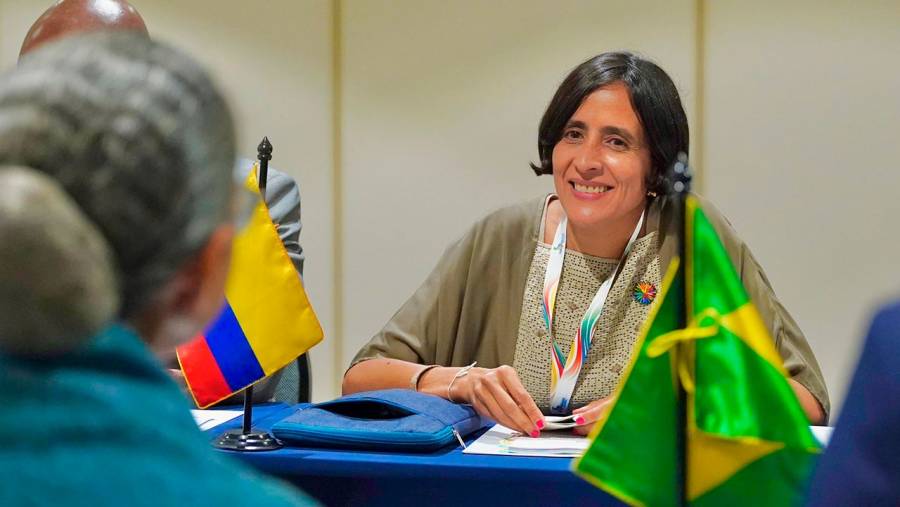 Brasil, socio estratégico de Colombia para la defensa de la Amazonía y la COP16 de Biodiversidad