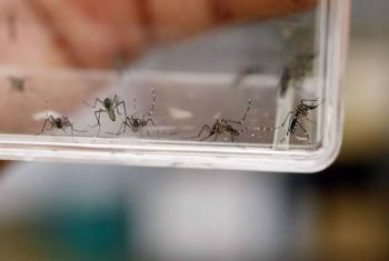 Mantiene Secretar&iacute;a de Salud campa&ntilde;a de prevenci&oacute;n y control del dengue en municipios del EdoM&eacute;x