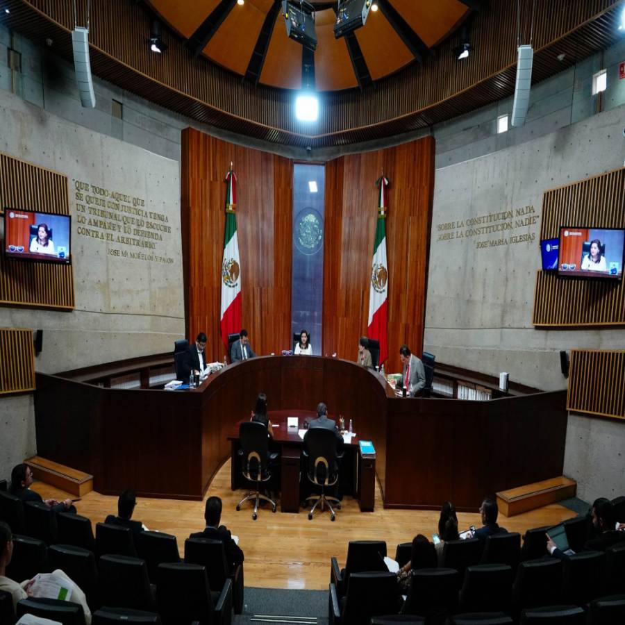 TECMX acuerda la asignación de diputaciones plurinominales