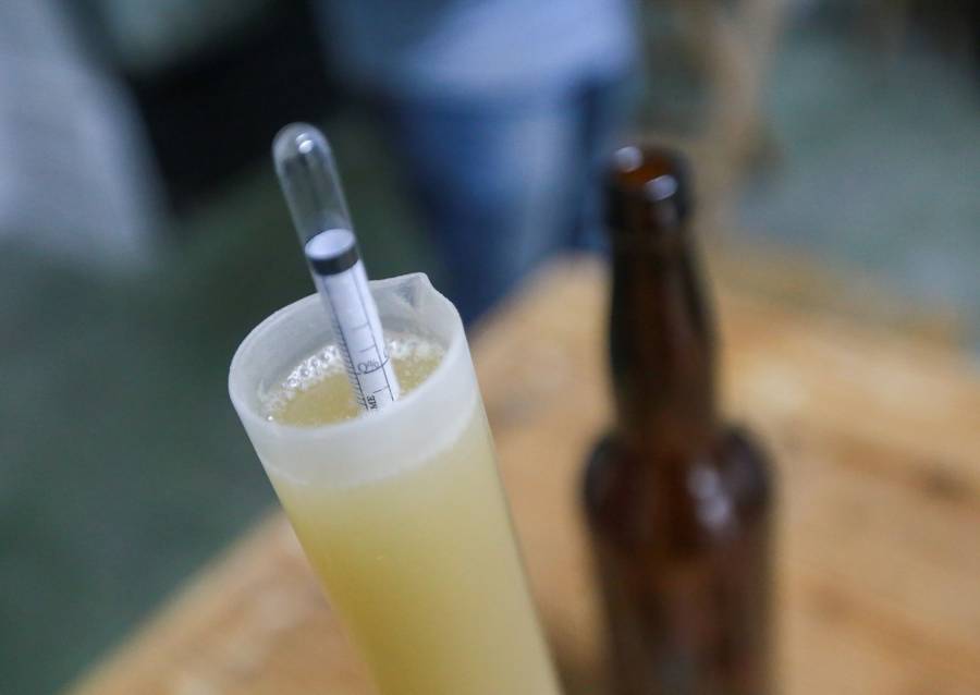Hermanas López Herrera: Una década revolucionando la cerveza artesanal en Tijuana