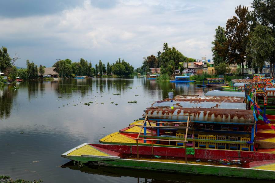 Xochimilco ajusta tarifas en sus servicios tur&iacute;sticos: Nuevo precio del paseo en trajinera y m&aacute;s