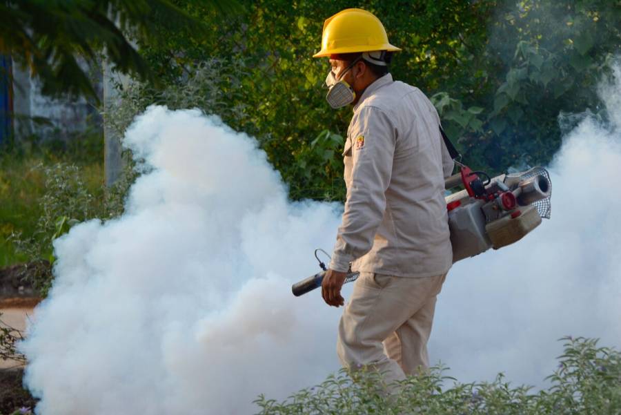 Ssa pide a personal médico aplicar protocolo para atención de dengue