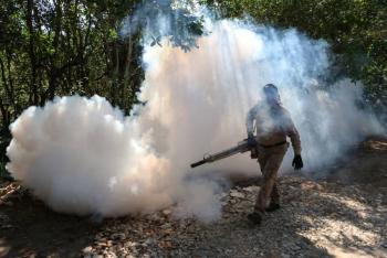 Oaxaca alcanza los 2,291 casos confirmados de dengue: Salud reporta tres muertes