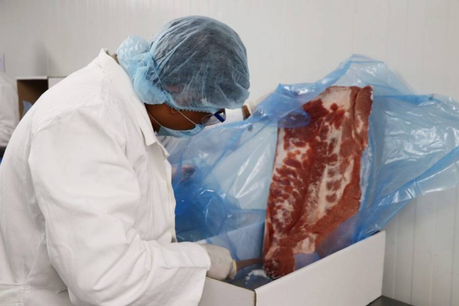Destaca Agricultura importancia de la industria cárnica para la seguridad alimentaria