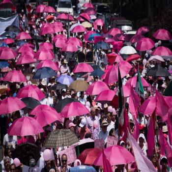 Marea Rosa convoca a protestar contra la sobrerrepresentaci&oacute;n en el Congreso
