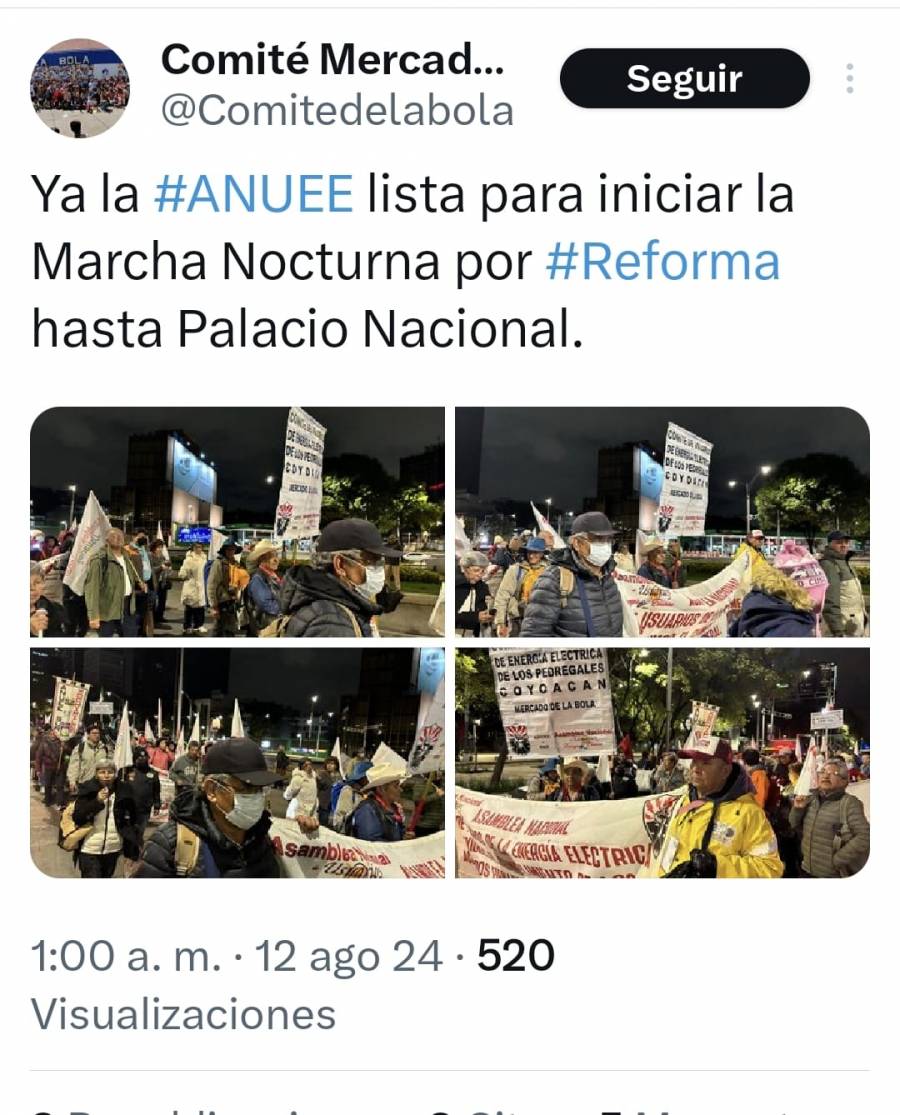 Comité de Usuarios de Energía Eléctrica protestan frente a Palacio Nacional