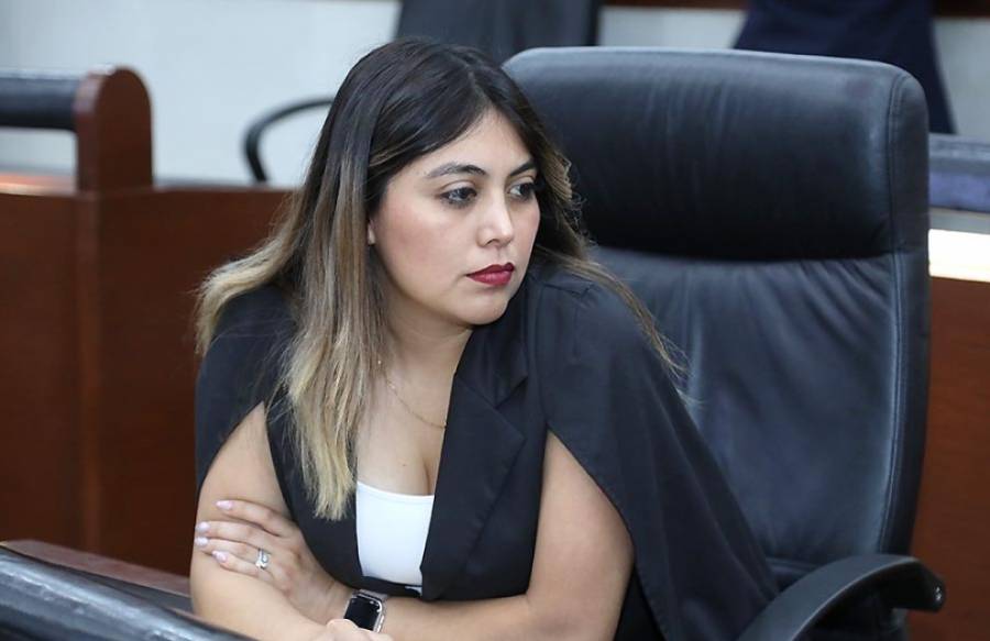 Diputada Lidia Vargas Propone Refuerzos al Código Familiar para Proteger los Derechos Alimentarios de los Menores