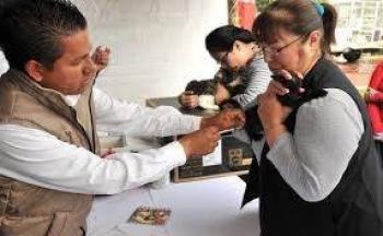 Edomex logra el 95% de cobertura en vacunaci&oacute;n antirr&aacute;bica en 2023