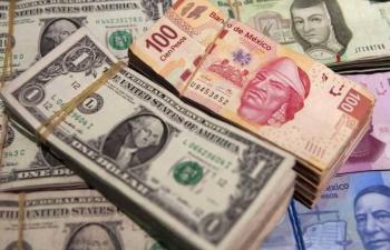 D&oacute;lar podr&iacute;a cotizarse en 18.50 unidades esta semana