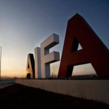 AMLO se compromete a investigar sacrificio de perros y gatos salvajes en el AIFA