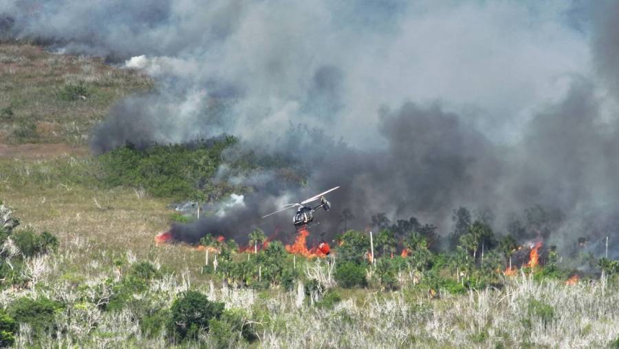 Incendio en la Reserva Sisal afecta a más de 3 mil habitantes en Yucatán