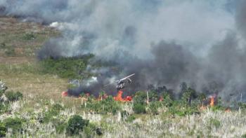 Incendio en la Reserva Sisal afecta a m&aacute;s de 3 mil habitantes en Yucat&aacute;n