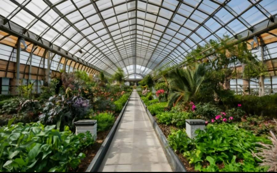 Oasis verdes en medio de la urbe, los jardines botánicos en CDMX