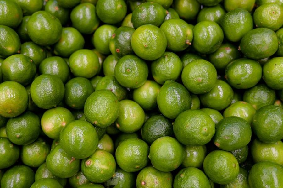 Empacadoras de limón en Apatzingán acuerdan levantar el paro y volver a los campos