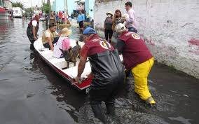 Gobierno del Estado de México atiende a animales afectados por inundaciones en Chalco