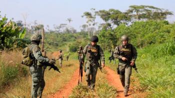 Contra la deforestaci&oacute;n: destruidos cinco puentes y cinco v&iacute;as ilegales en el Parque Nacional Natural Chiribiquete