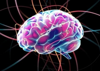Los 4 cambios en el estilo de vida para tener un cerebro sano