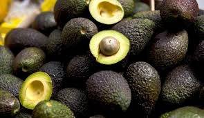 Antioquia refuerza su liderazgo como exportador de aguacate Hass en Colombia