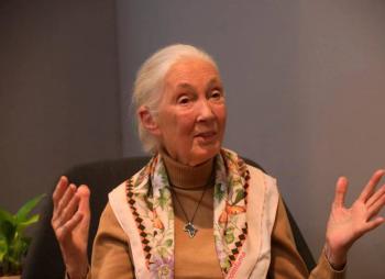 Jane Goodall: la mujer que nunca deja de so&ntilde;ar por un planeta mejor, incluso a los 90 a&ntilde;os