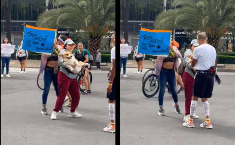 Un Corgi roba corazones en la 41a edición del Maratón de la Ciudad de México