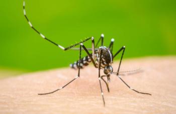 D&iacute;a Internacional Contra el Dengue: Servicios de Salud Presenta un 30% de Casos Confirmados de Dengue en 2024