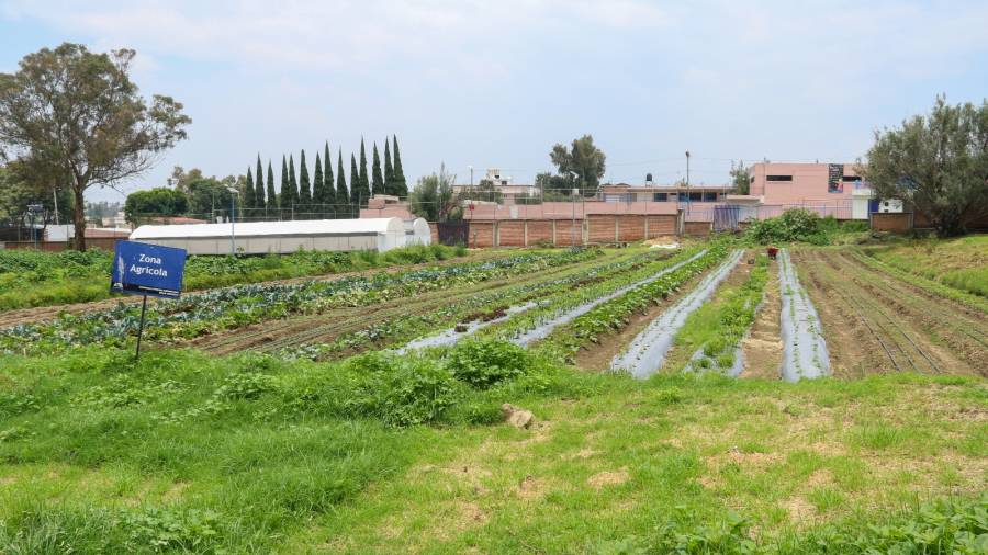 Impulsan agroecosistemas sustentables en la Ciudad de México para combatir el cambio climático