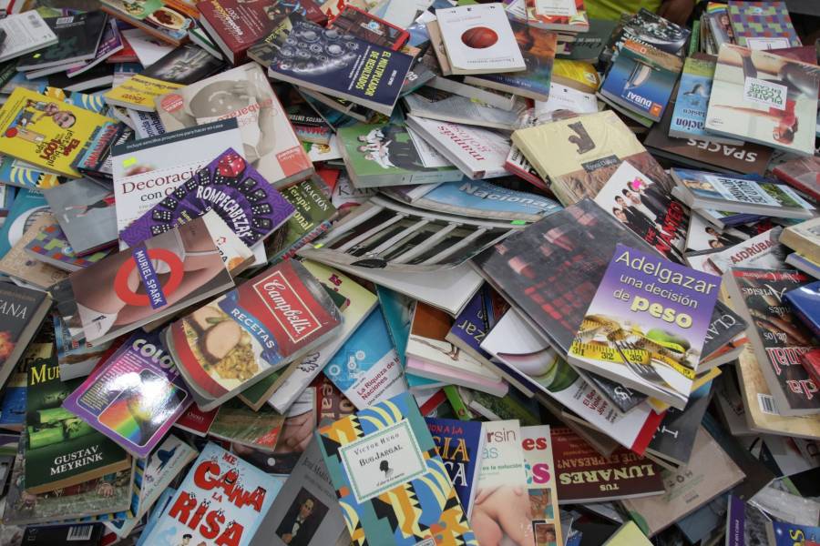 Grandes editoriales demandan a Florida por ley de prohibición de libros
