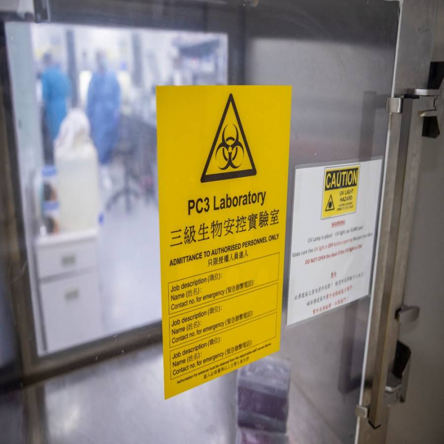 Decenas de virus detectados en criaderos de animales destinados a peletería en China