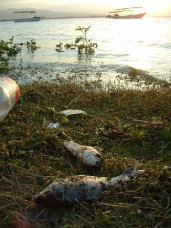 Avanza el plan de recuperaci&oacute;n de la Laguna de Zumpango