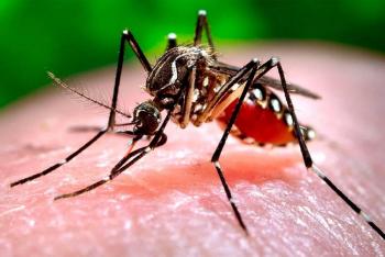 MinSalud pide incrementar medidas de prevenci&oacute;n y control del dengue por incidencia de fen&oacute;menos de El Ni&ntilde;o y La Ni&ntilde;a