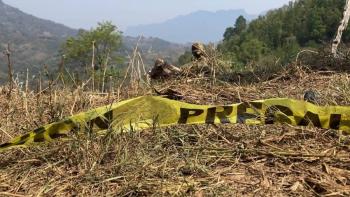 Asesinan a maestro jubilado frente a instalaciones de la UAGro